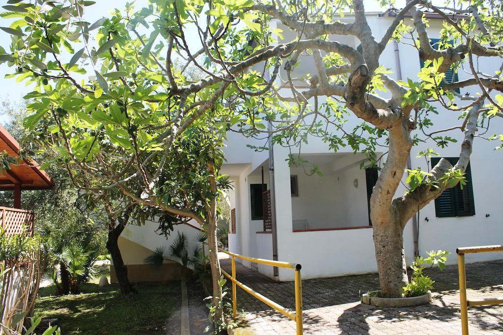 Green Garden Eco-Holiday В'єсте Екстер'єр фото