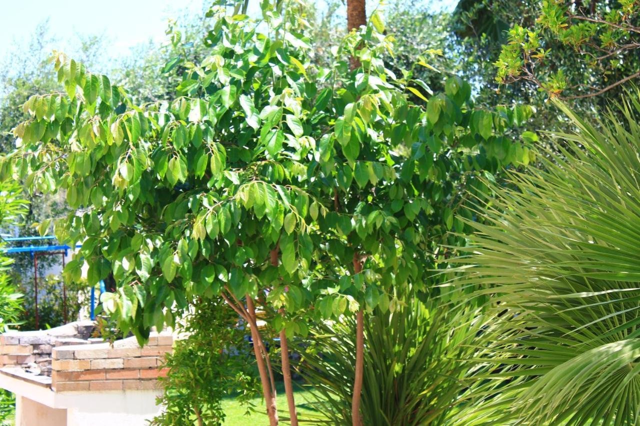 Green Garden Eco-Holiday В'єсте Екстер'єр фото